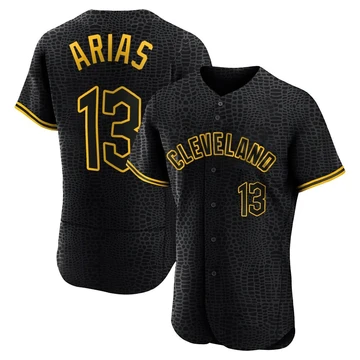 Cleveland Guardians ＃13 Gabriel Arias Men's Black Authentic Snake Skin City Jersey