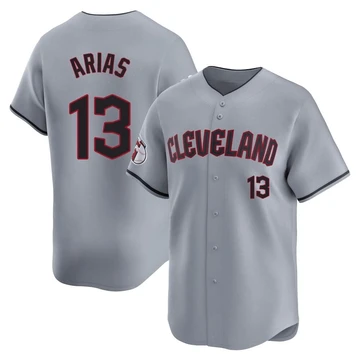 Cleveland Guardians ＃13 Gabriel Arias Youth Gray Limited Road Jersey