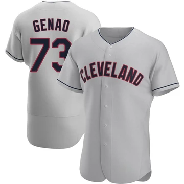 Cleveland Guardians ＃73 Angel Genao Men's Gray Authentic Road Jersey